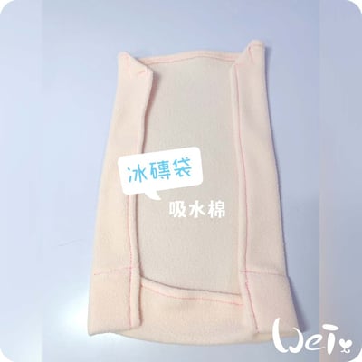 Dometic薄款長效冰磚CI-420G+手作吸濕透氣冰磚網袋10