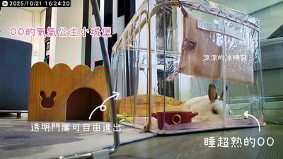 【新北板橋-租借】寵物用氧氣箱/吸氧箱/噴霧箱/霧化箱 (販售、租賃)10