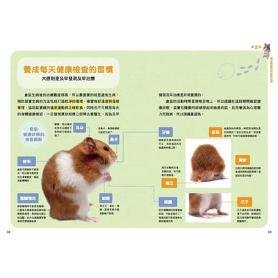 《書》倉鼠的飲食＆營養指南 正しく知っておきたい ハムスターの食事と栄養 長生きサポートBOOK3