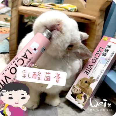 日本Sanko 小動物乳酸菌膏4