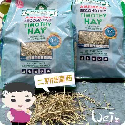 摩米MOMI T2 二割經典提摩西4