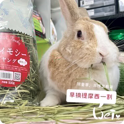 WOOLY高原的早摘提摩西一割(本次貨櫃未到)7