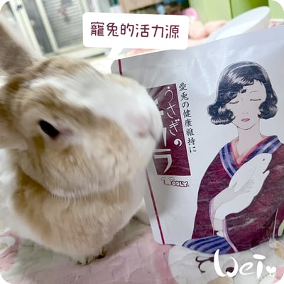 WOOLY 寵兔的活力源7