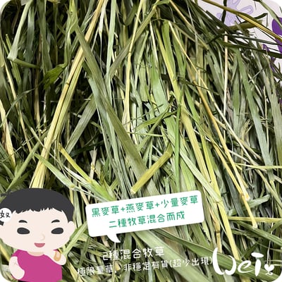 WOOLY高原的混合牧草(二種混合草)2026新款2