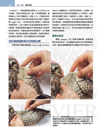 《書》禽鳥類醫學，第三版(現貨)4