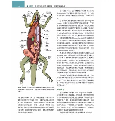 《書》Mader’s兩棲與爬蟲內外科(第3版)(上冊)5