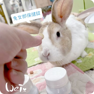 兔女郎點心吧 5歲+綜合保健錠6