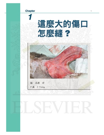 《書》小動物臨床病例精選，第一部2