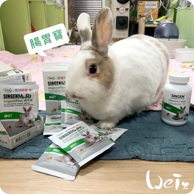 信元發育寶 小寵腸胃寶4