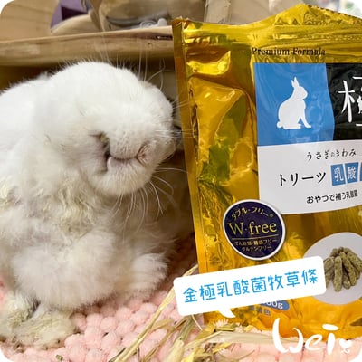 日本 HI-PET 金極乳酸菌牧草條 (KIWAMI極)3