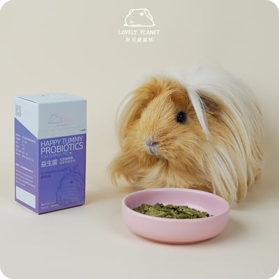 好可愛星球Lovely Planet天竺鼠益生菌 原味5