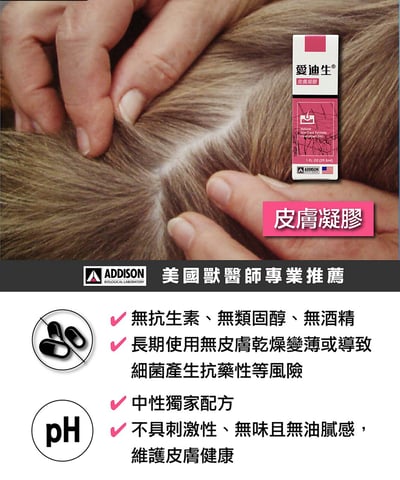 ADDISON美國愛迪生 皮膚凝膠2