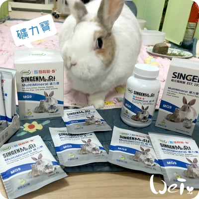 信元發育寶 小寵礦力寶2