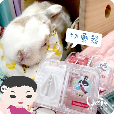 (高階版)日本Imakara多功能切藥磨粉盒(含清潔小毛刷)1