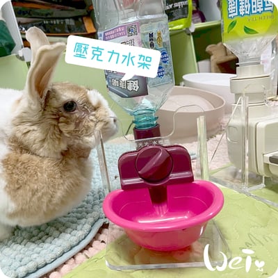 高低底盤 透明壓克力水碗架 / 飲水神器架 / 飲水器支架 /水架 (贈送 喝水小標語貼紙)11