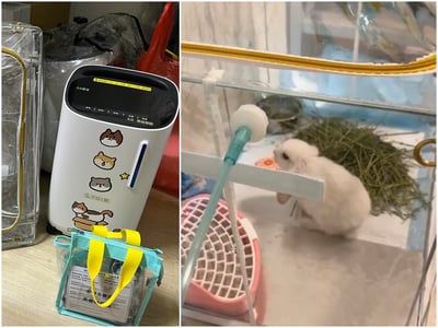 【新北板橋-租借】寵物用氧氣機 / 製氧機 說明 (長短期租賃)需自取22