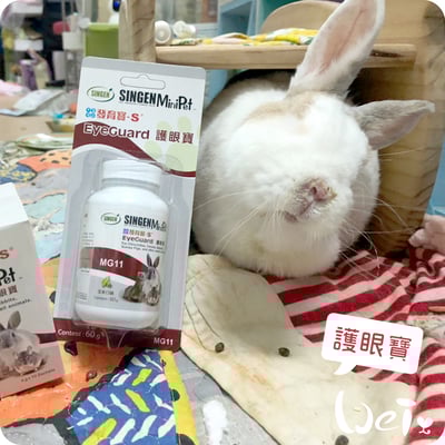 信元發育寶 小寵護眼寶5