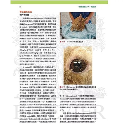 《書》野生動物臨床入門：恆溫動物(現貨)5
