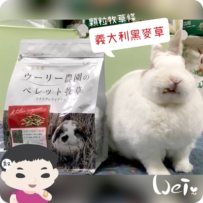 WOOLY義大利黑麥草顆粒牧草條(補助食品)3