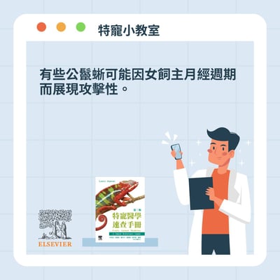 《書》特寵醫學速查手冊 第二版(現貨)5