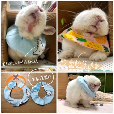 手作 - 寵物圍兜兜 / 紗布口水巾 / 軟頭套  / 老病照護灌食餵藥(點數兌換)7