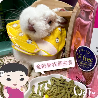 日本HI-PET 粉極全齡兔牧草主食飼料(KIWAMI 極)3