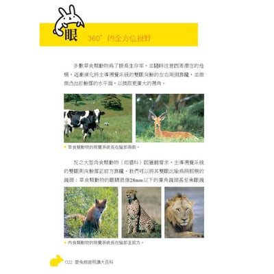 《書》愛兔飼育照護大百科 (愛兔協會出版)2