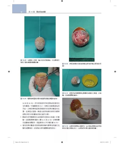 《書》禽鳥類醫學，第三版(現貨)16