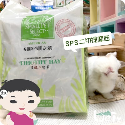 美國SPS寵之選 二切提摩西1