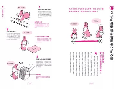 《書》如何陪兔兔走完最後一程  ウサギの看取りガイド7