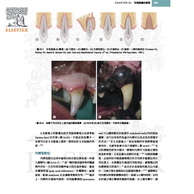 《書》犬貓口腔與上頜顏面外科，第二版3