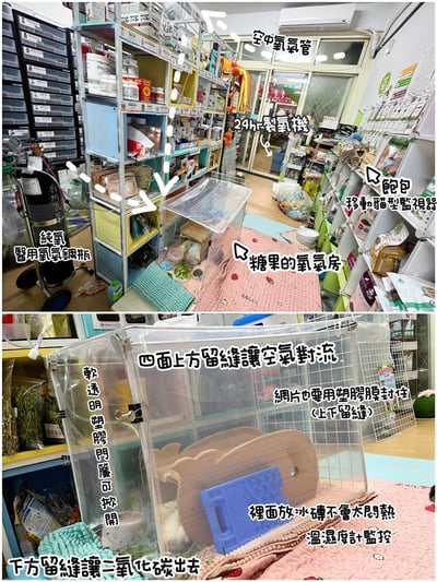 已被租完無現貨【新北板橋-租借】寵物用氧氣機 / 製氧機 說明 (長短期租賃)9