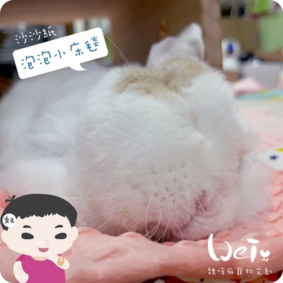 手作 - 泡泡小床毯 (沙沙響紙)8