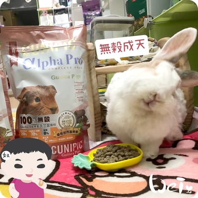 西班牙CUNIPIC頂級無穀天竺鼠3