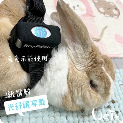 舒服樂 光舒緩穿戴 / 寵物居家三級雷射19