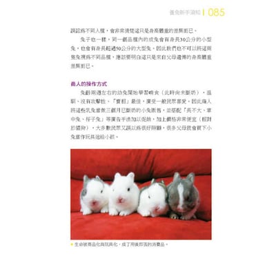 《書》愛兔飼育照護大百科 (愛兔協會出版)11