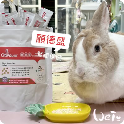 CI兔 Citwo LAB 顧德盛 腎臟保健益生菌9
