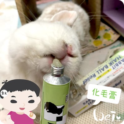 日本Sanko 愛兔化毛膏1