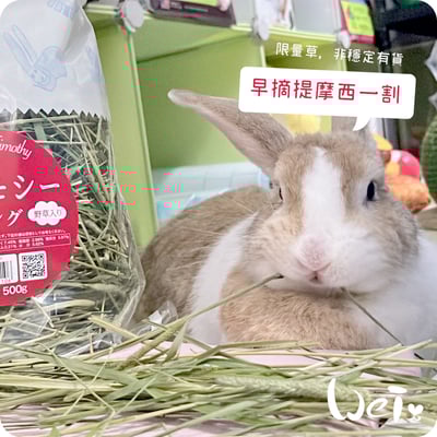 WOOLY高原的早摘提摩西一割(本次貨櫃未到)3