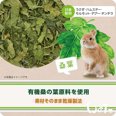 GEX健康食譜 桑葉3