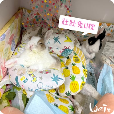 老病癱瘓兔專用靠枕 - 拐杖躺、兔U枕  (手作特製斜躺感月亮枕)13