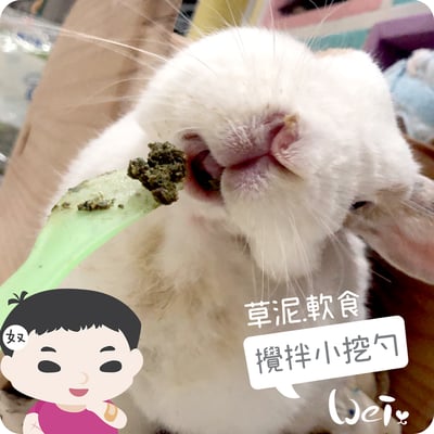 軟食/草泥攪拌小挖勺6