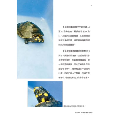 《書》烏龜飼育與圖鑑百科6