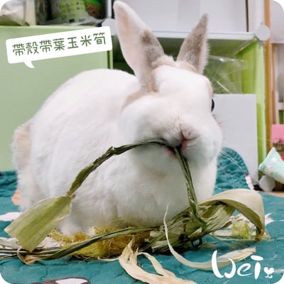 乾燥帶葉帶殼玉米筍1