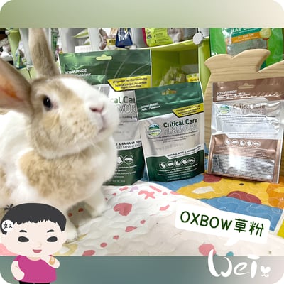 OXBOW木瓜極細灌食草粉9