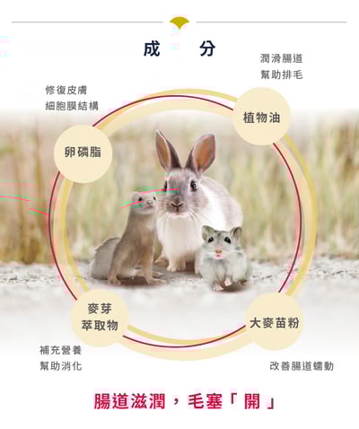 信元發育寶 小寵化毛膏4