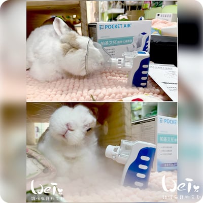 【寵物用超音波噴霧使用經驗分享】(京華超音波kun-868)(帕基艾兒)(普元)(舒摩v-15)1