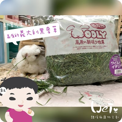 WOOLY高原的義大利黑麥草幼割12