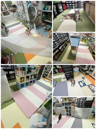 衛教區～常見的墊材介紹8