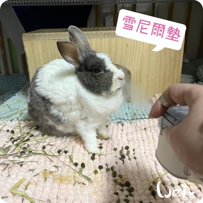 毛巾觸感-加厚吸水大顆粒雪尼爾墊8